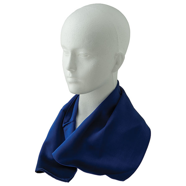 P167 Silk Scarf