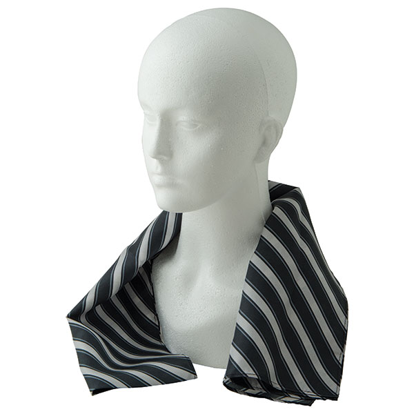P167 Printed Polyester Long Scarf