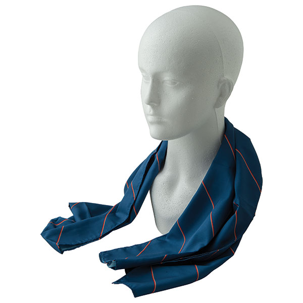 P167 Printed Polyester Long Scarf