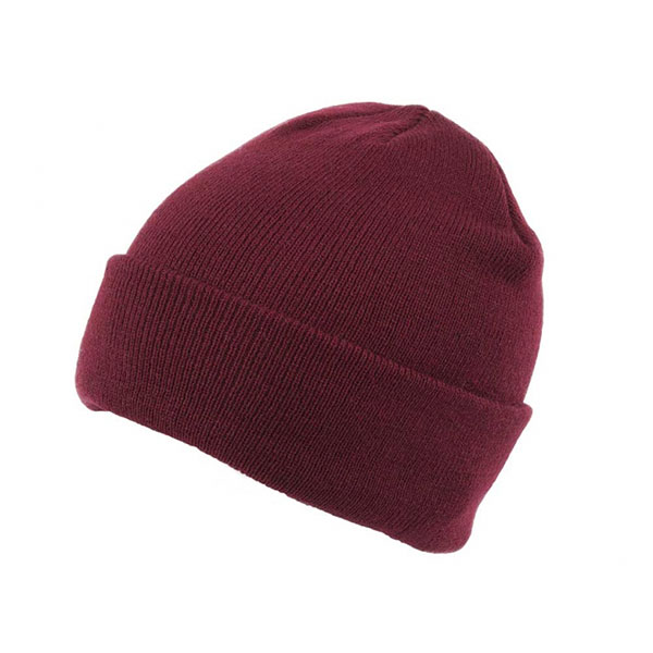 P172 Brand 47 Acrylic Beanie with Turn Up