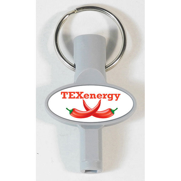 P041 Radiator and Meter Box Key Fob