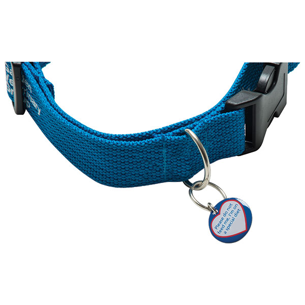 N053 Dog ID Tag