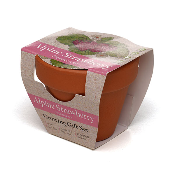 P043 Terracotta Flower Pot