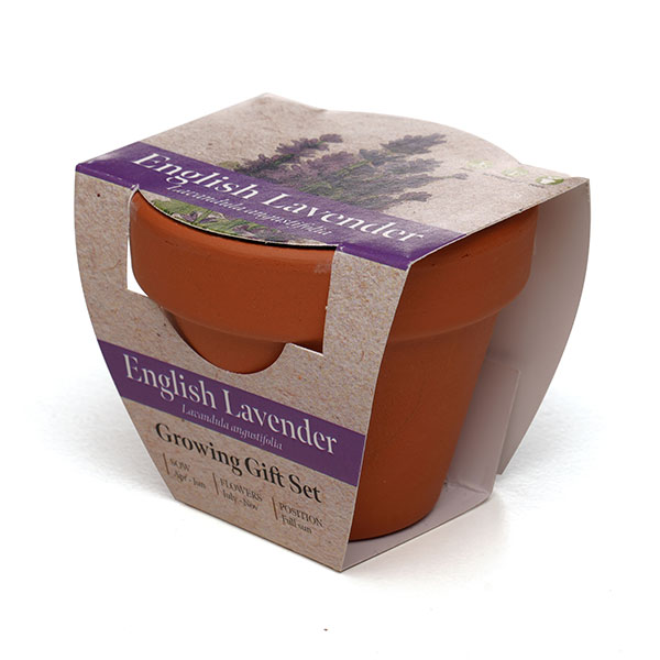 P043 Terracotta Flower Pot