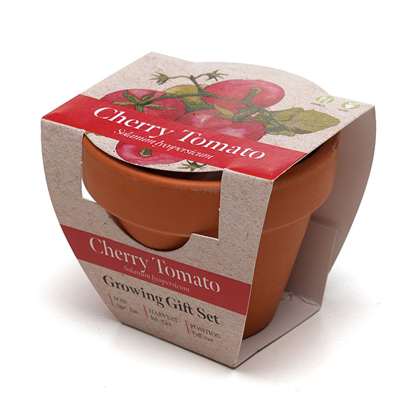 P043 Terracotta Flower Pot