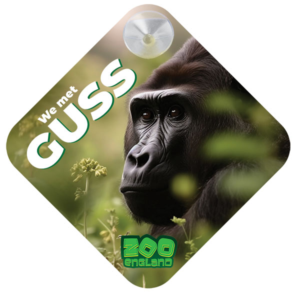 P083 Car Window Sign