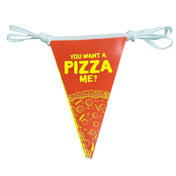 P084 Bunting - White Triangular Pennants