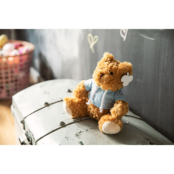 P044 Teddy Bear with Hoodie