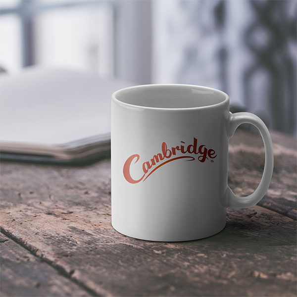 P094 Cambridge Earthenware Mug - White