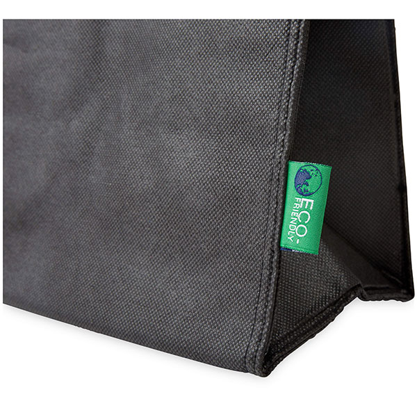 H096 Triangle Non-Woven Cooler Bag