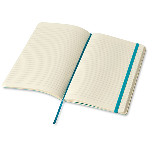 N146 Moleskine Classic Large Soft Cover Notebook  - Spot Colour