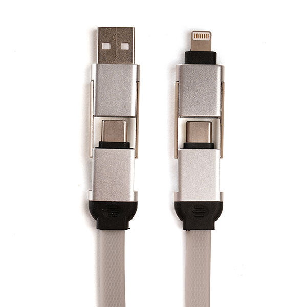 P020 4 in 1 Fast Charger Key Ring