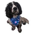P055 Dog Bandana