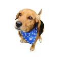 P055 Dog Bandana