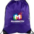 P072 Verve Drawstring Bag - Full Colour