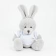 P044 15cm Plush Rabbit with T- Shirt