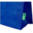 H096 Triangle Non-Woven Cooler Bag