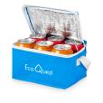 P057 Spectrum 6 Can Non Woven Cooler Bag