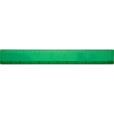 P137 BG Basic 12 Inch Ruler - 1 Colour