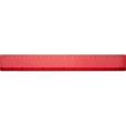 P137 BG Basic 12 Inch Ruler - 1 Colour