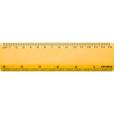 P137 BG Basic 6 Inch Ruler - Full Colour