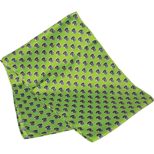 P167 Printed Polyester Long Scarf