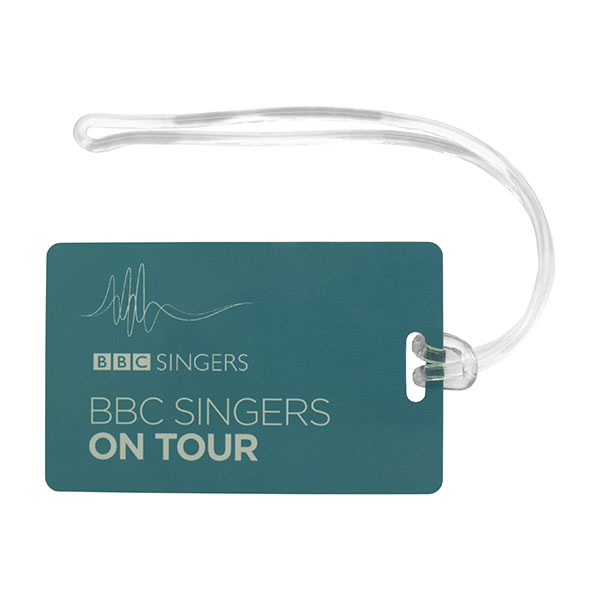 N031 Credit Card Luggage Tag