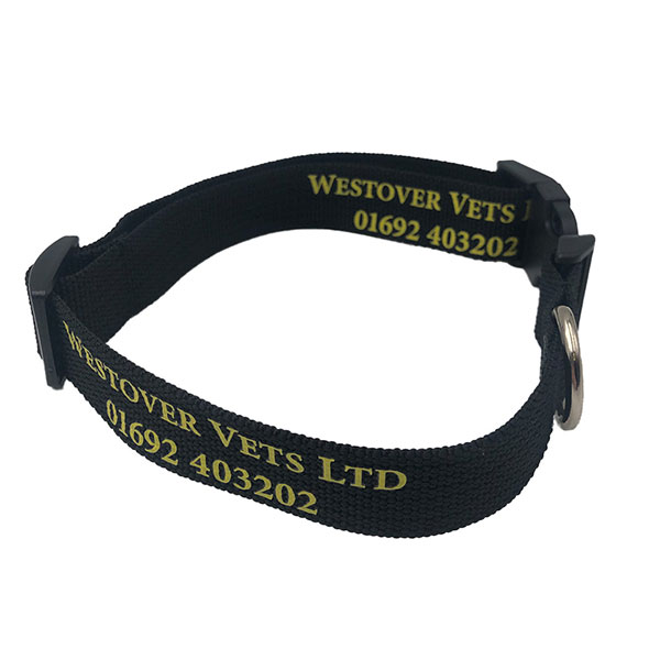 P055 rPET Dog Collar - 1 Colour