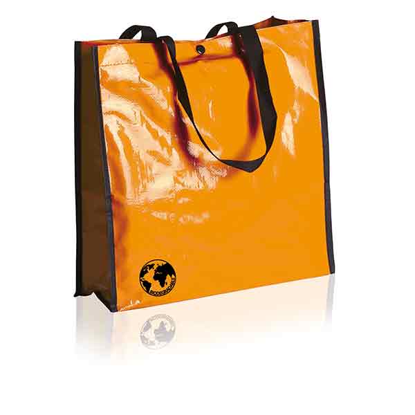 H101 Biodegradable Shopping Bag