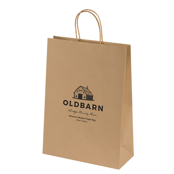 P074 Ashdown Medium Kraft Paper Gift Bag - 1 Colour