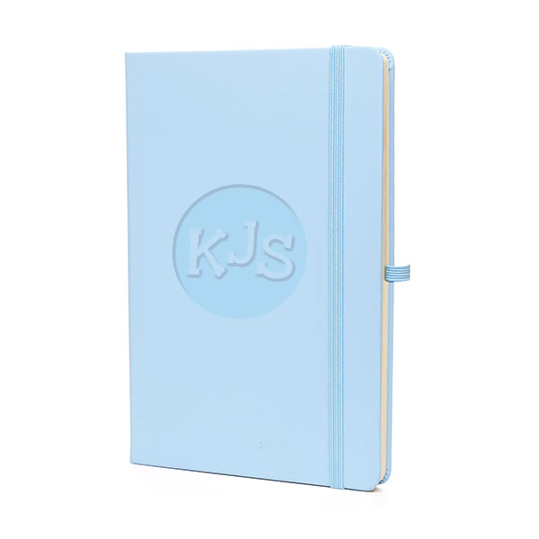 P148 A5 Mole Notebook - 1 Colour