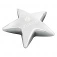 L035 Star Paperweight