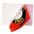 P076 Window Sticker 130cm² - Full Colour