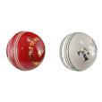 P048 Promotional Cricket Ball