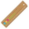 P137 Bamboo Ruler 15cm - 1 Colour